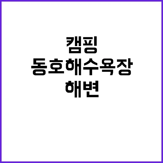 동호해수욕장 야영장