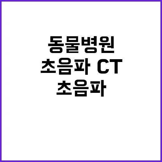 동물병원 초음파·C…