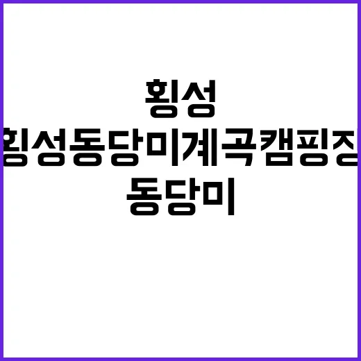 횡성동당미계곡캠핑장…