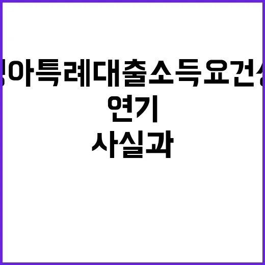 신생아특례대출 소득…