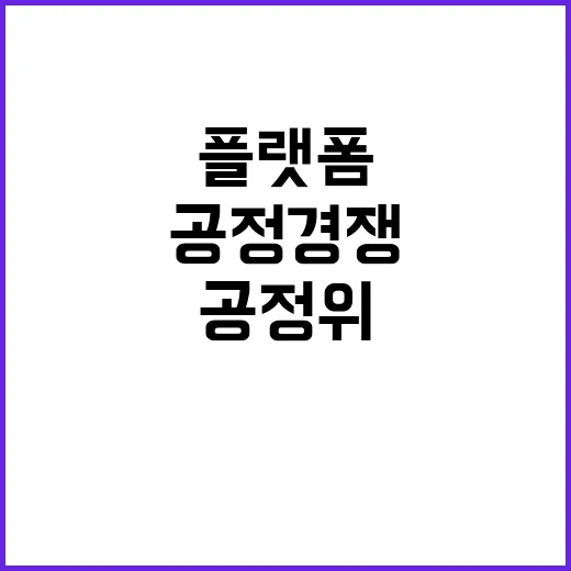 플랫폼 공정위 “공정경쟁법 제정 확정 안 됐다”