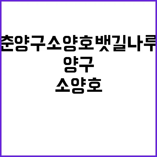 청춘양구 소양호 뱃…