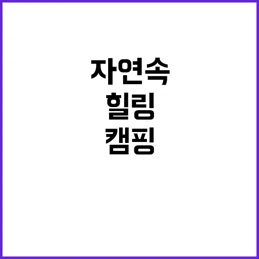 벙커 캠핑 독특한 …