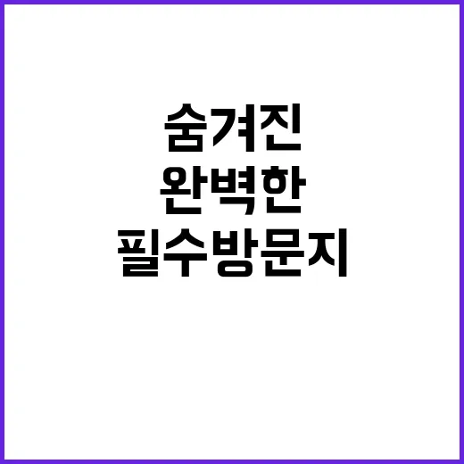 캠핑산 야영장 숨겨…