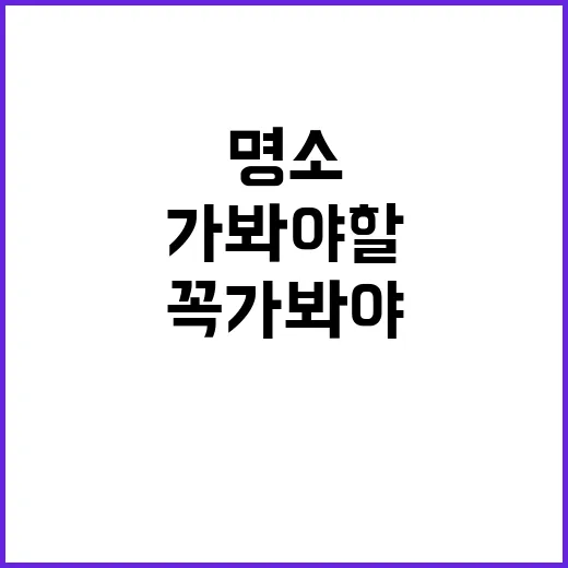 밸리 버튼 자연 속…