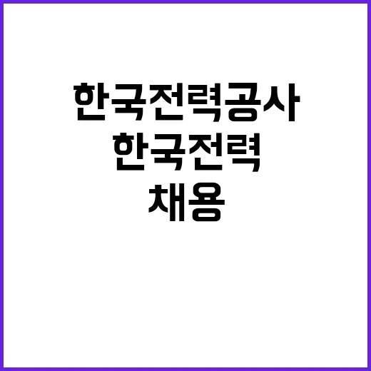 한국전력공사 비정규…