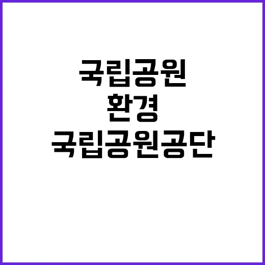 국립공원공단 비정규…