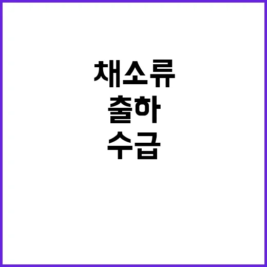 채소류 출하 증가 수급상황 개선 기대!