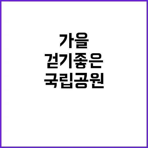 가을 국립공원 최고의 걷기 좋은 탐방로 7곳!