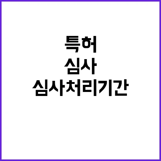 특허 심사처리기간 …