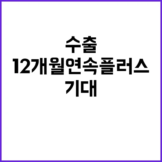 수출 12개월 연속 플러스 실적 기대!