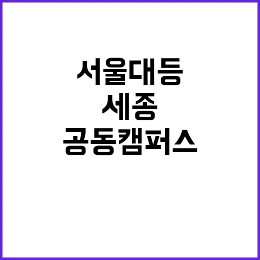 세종 공동캠퍼스 개교 서울대 등 대학 입주!