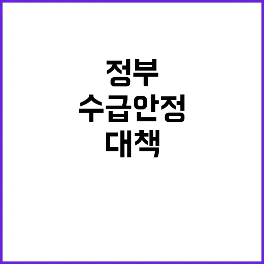 배추 수급 안정 정…