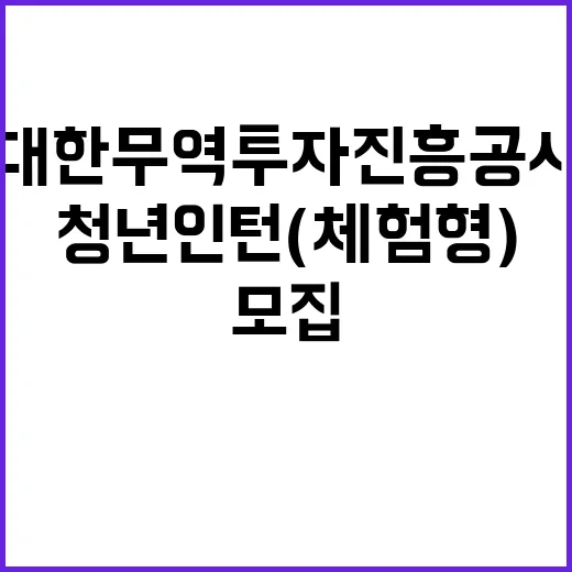 대한무역투자진흥공사…