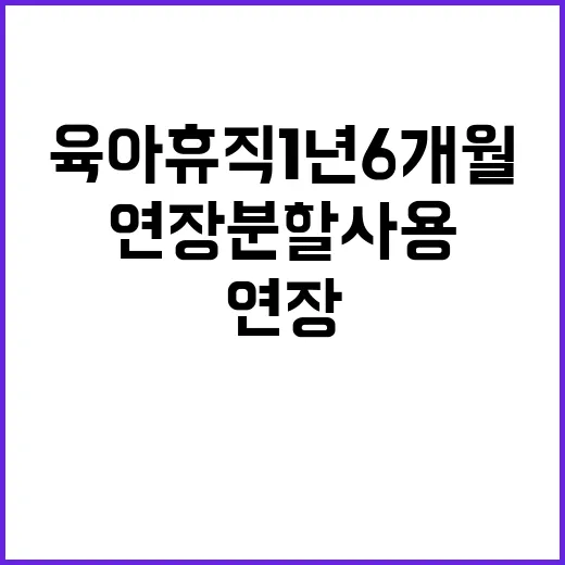 육아휴직 1년 6개월 연장 분할 사용 가능!