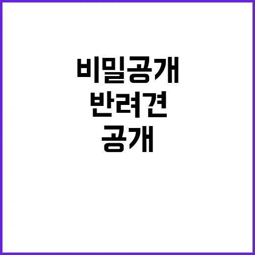 행복한 동행 사람과 반려견의 비밀 공개!