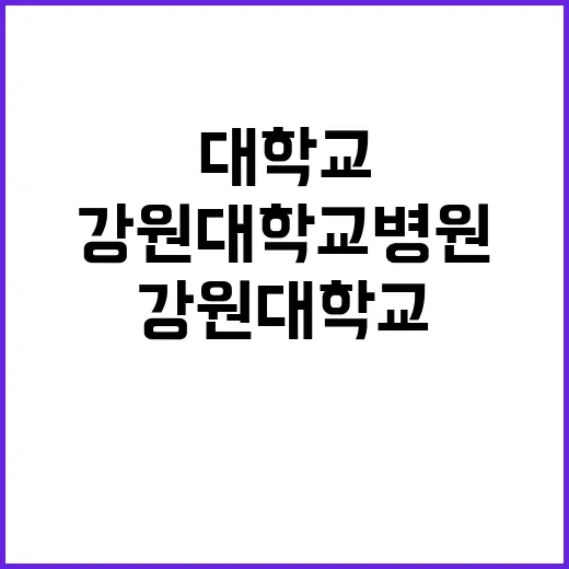 강원대학교병원 정규…