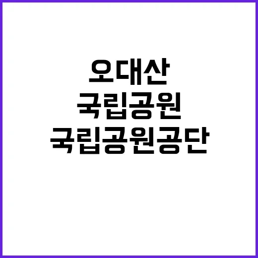 국립공원공단 비정규…