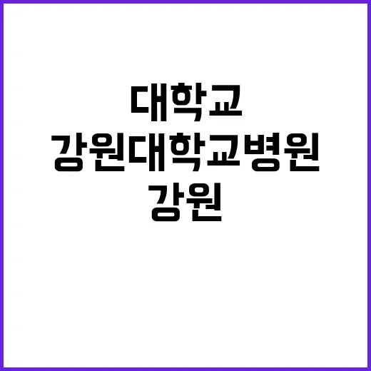 2024-49(연구직) 채용 공고