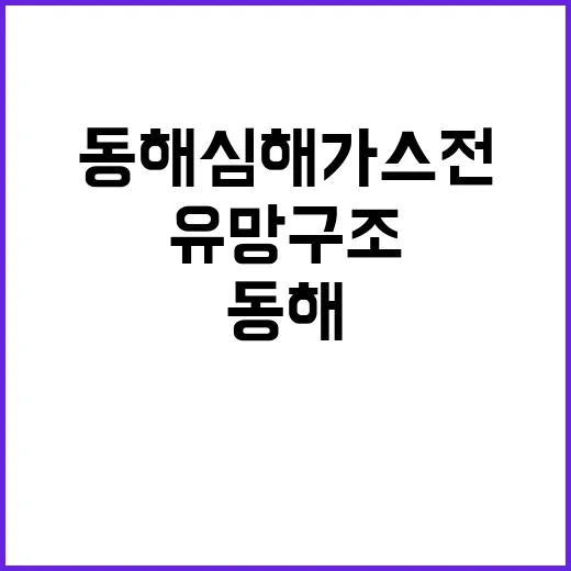 “동해 심해 가스전 유망구조의 진짜 사실 공개!”