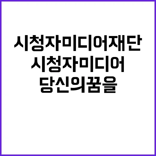 시청자미디어재단 비…