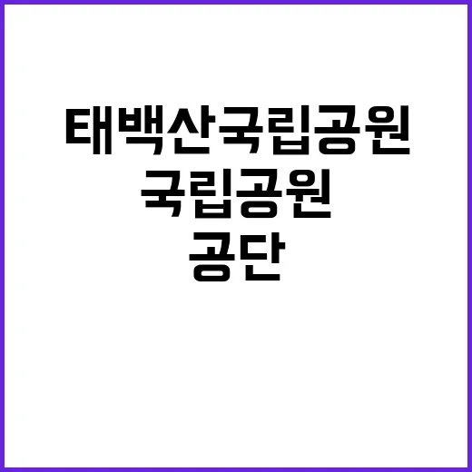 [태백산] 태백산국립공원사무소 수익시설관리 기간제(한시인력) 직원 3차 채용 공고