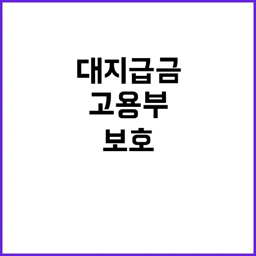 대지급금 지원 고용부의 사각지대 노동자 보호 발표!