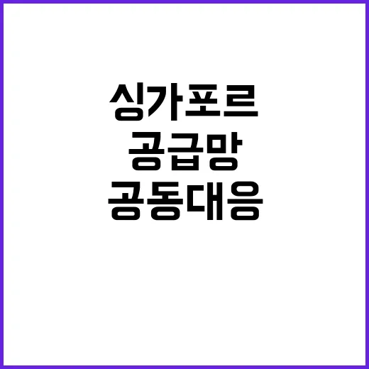 공급망 파트너십 한싱가포르 공동 대응 확인!