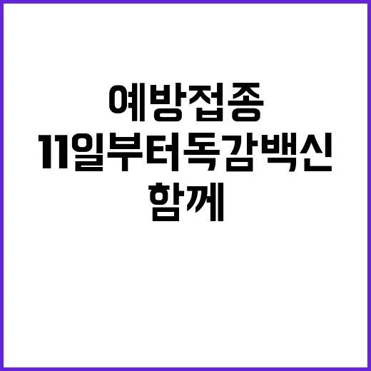 예방접종 11일부터 독감 백신 함께 맞자!