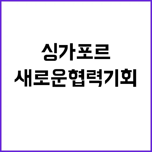 한싱가포르 새로운 …