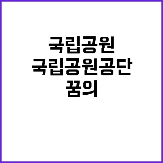 국립공원공단 비정규…