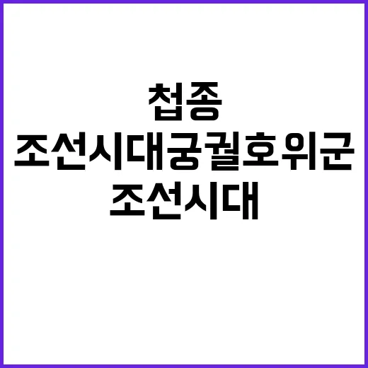 첩종 재현 조선시대 궁궐 호위군의 향연!