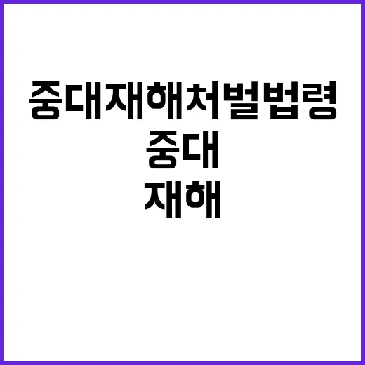 중대재해처벌법령 개선 고용부의 미래 정책 방향!