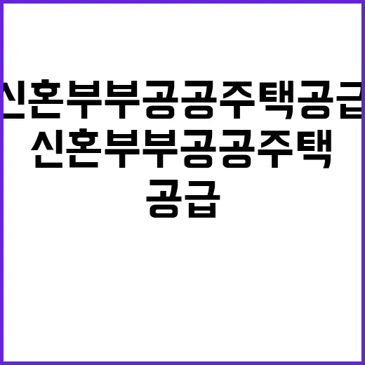 신혼부부 공공주택 공급의 새로운 방향 밝혀졌다!