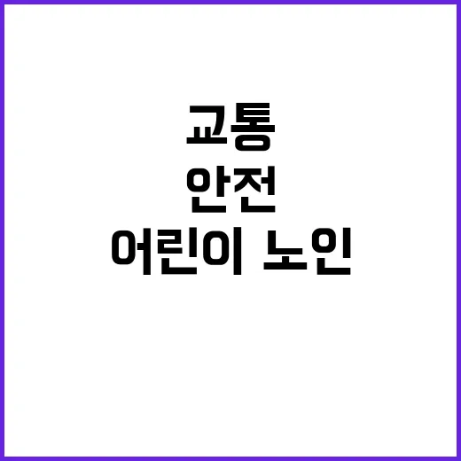 교통사고 어린이·노인 안전 점검 79개소 공개!