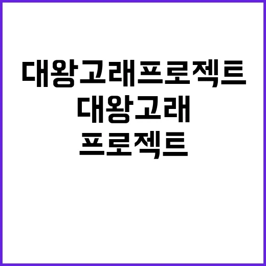 대왕고래 프로젝트 융자금 감면 사실관계 확인!