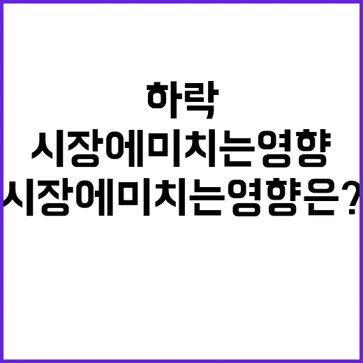 배추 도매가격 하락 시장에 미치는 영향은?