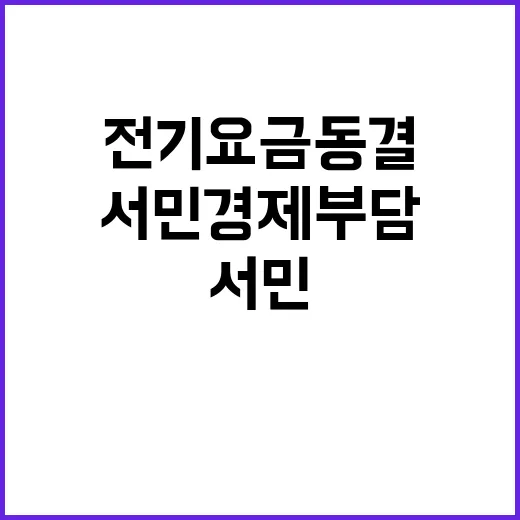 전기요금 동결 서민경제 부담 완화 기대감!