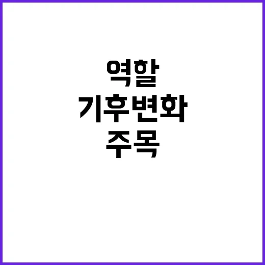 기후변화 감시법 정…