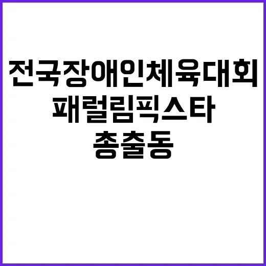 전국장애인체육대회 패럴림픽 스타들 총출동!