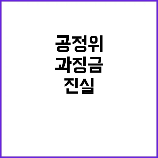 “과징금 환급 공정…