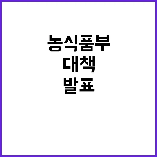 “말 복지 제고 대책 농식품부에서 발표한 계획”