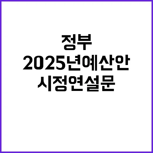 2025년 예산안 …