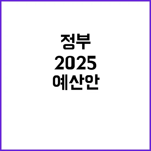 2025 예산안 정부의 시정연설 핵심 내용 공개!