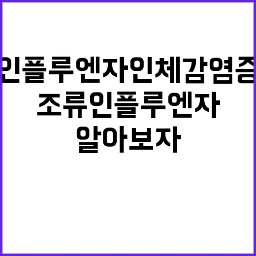 조류인플루엔자 인체…