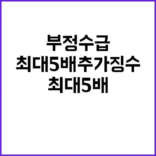 ‘부정수급’ 경고 최대 5배 추가 징수 조치!