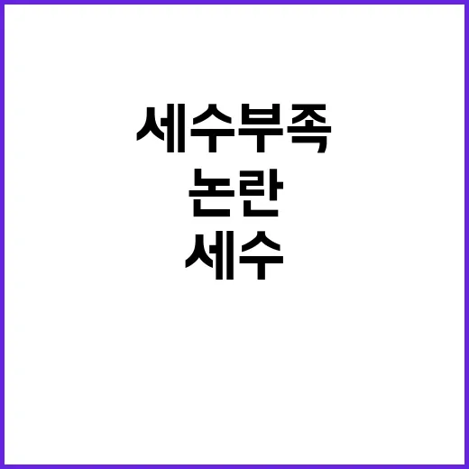 “세수부족 사실 기…