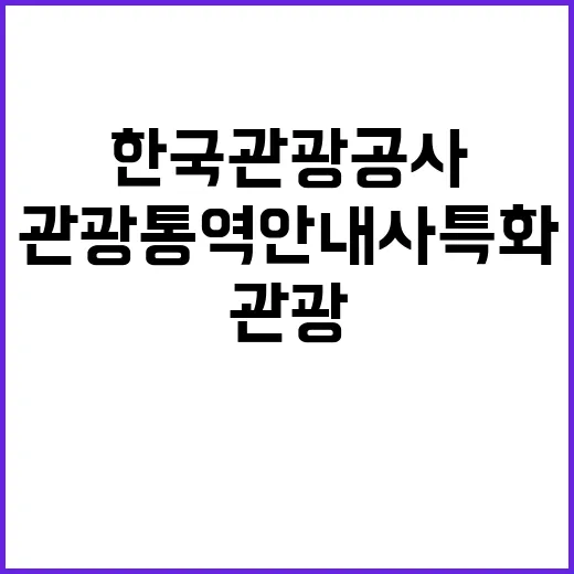 한국관광공사 비정규…