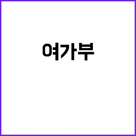 딥페이크 대책 여가…