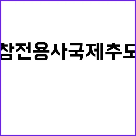 유엔참전용사 국제추모의 날 강제성 없다!